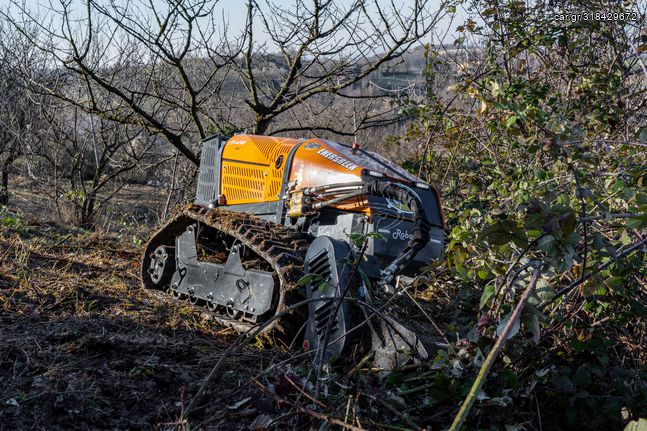 Energreen '24 RoboEVO  ΠΑΟΥΡΗΣ