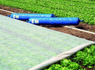 Αντιπαγετικό Ρολό μικρό 25 m (μήκος) x 1,6 m (πλάτος)