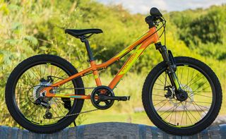 All - Mountain Polygon 2025 RELIC 20"-thumb-1