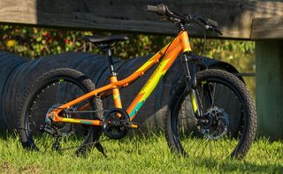 All - Mountain Polygon 2025 RELIC 20"-thumb-2