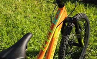 All - Mountain Polygon 2025 RELIC 20"-thumb-5