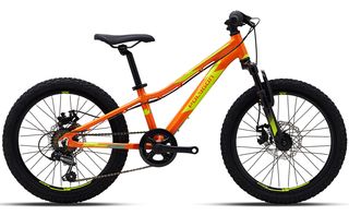 All - Mountain Polygon 2025 RELIC 20"-thumb-6