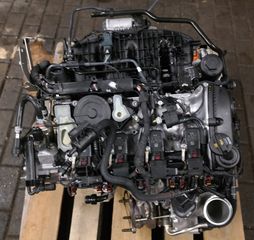 AUDI Q5 80A  55TFSIe HYBRID DLG