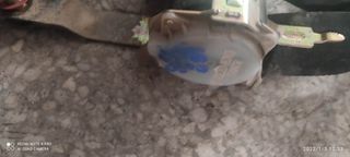 ΖΩΝΗ ΜΠΡΟΣΤΑ ΔΕΞΙΑ DAEWOO MATIZ 2001-2004-thumb-8