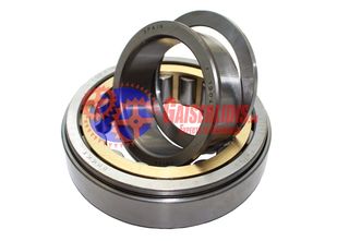 Ρουλεμάν Μπρίζντερεκ G3/45-6  G3/55-6 0079817501