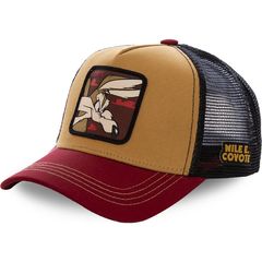 Καπέλο CA10069 Disney COYOTE