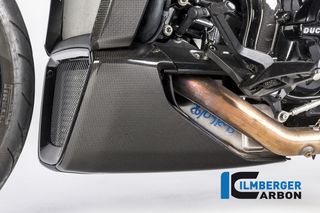 ΑΡΙΣΤΕΡΗ ΚΑΡΙΝΑ ILBERGER CARBON DUCATI XDIAVEL '16-'17