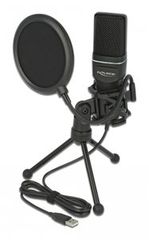 DELOCK Mικρόφωνο studio με pop φίλτρο & αντιανέμιο 66331, πυκνωτικό, USB