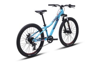 All - Mountain Polygon 2025 RELIC 24"  ME 5 ΧΡΟΝΙΑ ΕΓΓΥΗΣΗ-thumb-1