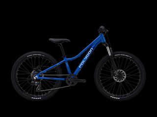 All - Mountain Polygon 2025 RELIC 24"  ME 5 ΧΡΟΝΙΑ ΕΓΓΥΗΣΗ-thumb-2