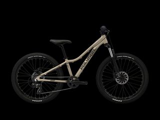 All - Mountain Polygon 2025 RELIC 24"  ME 5 ΧΡΟΝΙΑ ΕΓΓΥΗΣΗ-thumb-4