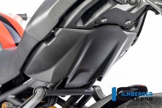 UNDERTAIL ILBERGER CARBON DUCATI MONSTER 1200 '17>