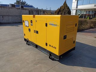 Γεννήτρια 2026 RICARDO 40 kVA-thumb-1