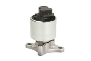 EGR Valve (New) - EG-10256-12 B1