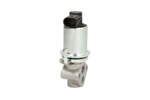 EGR Valve (New) - EG10290-12B1