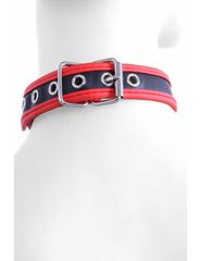 O-ring collar and snaps-thumb-1