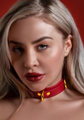 D-Ring Collar Deluxe-thumb-2