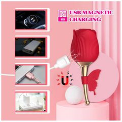 ROSE Clitoral Toy USB 10 function-thumb-1