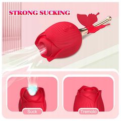 ROSE Clitoral Toy USB 10 function-thumb-3