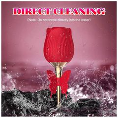 ROSE Clitoral Toy USB 10 function-thumb-7