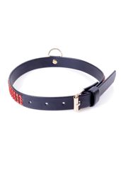 Fetish Collar with crystals 2 cm Red Line