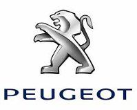 PEUGEOT 2008 9822423480 1665418280 6820000190B ΚΡΕΜΑΡΙΕΡΑ ΚΡΕΜΑΡΓΙΕΡΑ ΗΛΕΚΤΡΙΚΗ