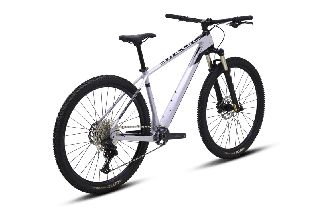 All - Mountain Polygon 2022 Syncline C2  CARBON     5 Χρόνια Εγγύηση-thumb-2