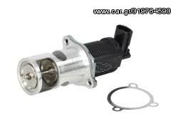 EGR Valve (New) - 555.031