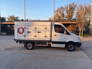 Ψυγείο Mercedes-Benz 2013 Sprinter 316 ΠΑΓΩΤΑΤΖΙΔΙΚΟ-thumb-16