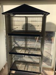 Επιχείρηση pet shop-thumb-7