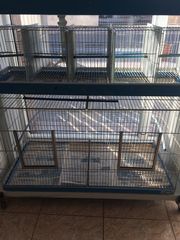 Επιχείρηση pet shop-thumb-9