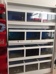 Επιχείρηση pet shop-thumb-14