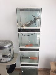 Επιχείρηση pet shop-thumb-15