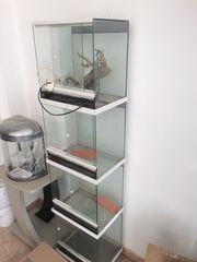 Επιχείρηση pet shop-thumb-16