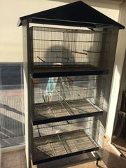 Επιχείρηση pet shop-thumb-17