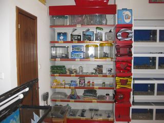 Επιχείρηση pet shop-thumb-4