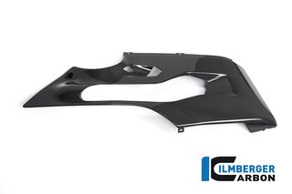 ΔΕΞΙΑ ΚΑΡΙΝΑ ILBERGER CARBON DUCATI PANIGALE 1299