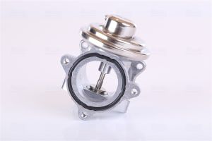 EGR Valve (New) - 6NU010171891