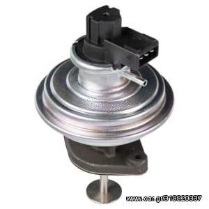 EGR Valve (New) - 45842BW