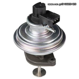 EGR Valve (New) - 45842BW