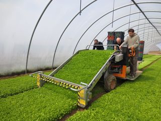 Συλλεκτικές Μηχανές 2022