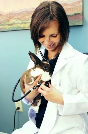 Charms στηθοσκοπίων - Μονογράμματα - B-thumb-3