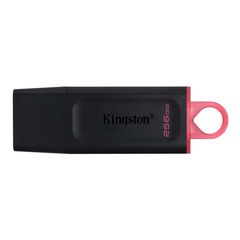 Kingston DataTraveler Exodia 256GB USB 3.2 Gen 1 DTX/256GB