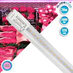 GloboStar® 99332 Λάμπα Σωλήνας Τύπου Φθορίου T8 Linear 120cm LED SMD 2835 20W 2000 lm 320° AC 85-265V IP20 CRI ≥90 Ροζ Ειδική για Κρεοπωλείο