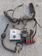 LPG TARTARINI 