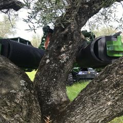 Δονητές Συλλογής Καρπών Sicma 2022-thumb-4