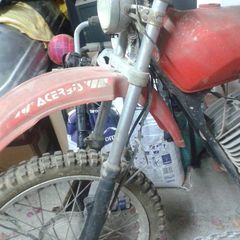 Sachs 1978-thumb-3