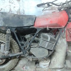 Sachs 1978-thumb-1