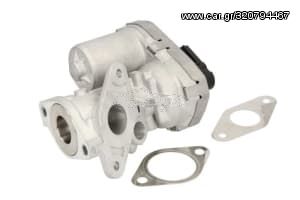 EGR Valve (New) - 71 789 686