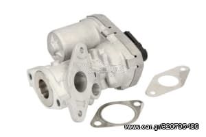 EGR Valve (New) - 71 789 686